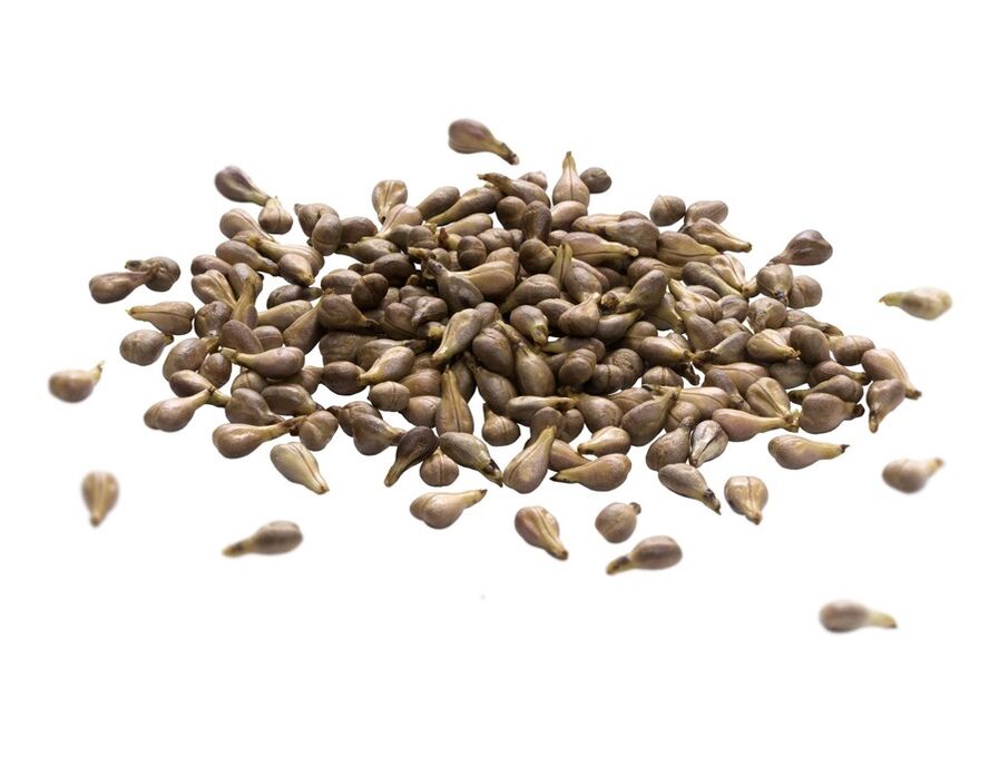 Varicone Krem üzüm tohumu yağı içerir